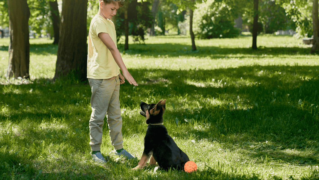 Puppy Potty Training