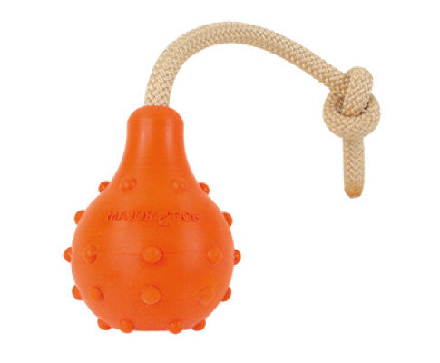 Dog Swimming Eddy Floating Fetch Toy with Handle