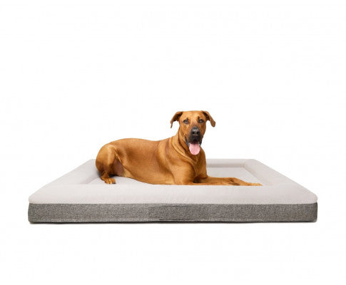 Orthopedic Dog Bed