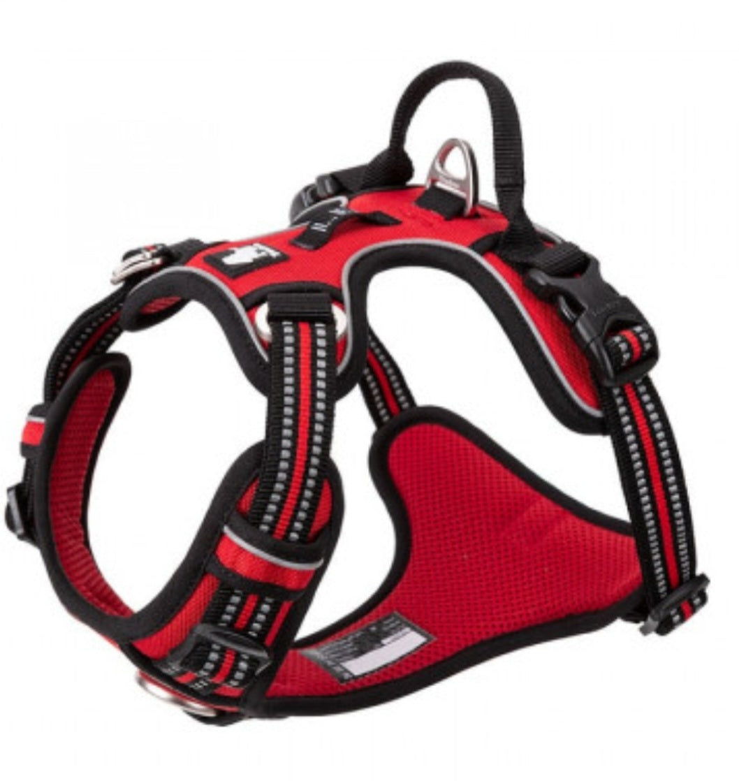 No Pull Harness Red L