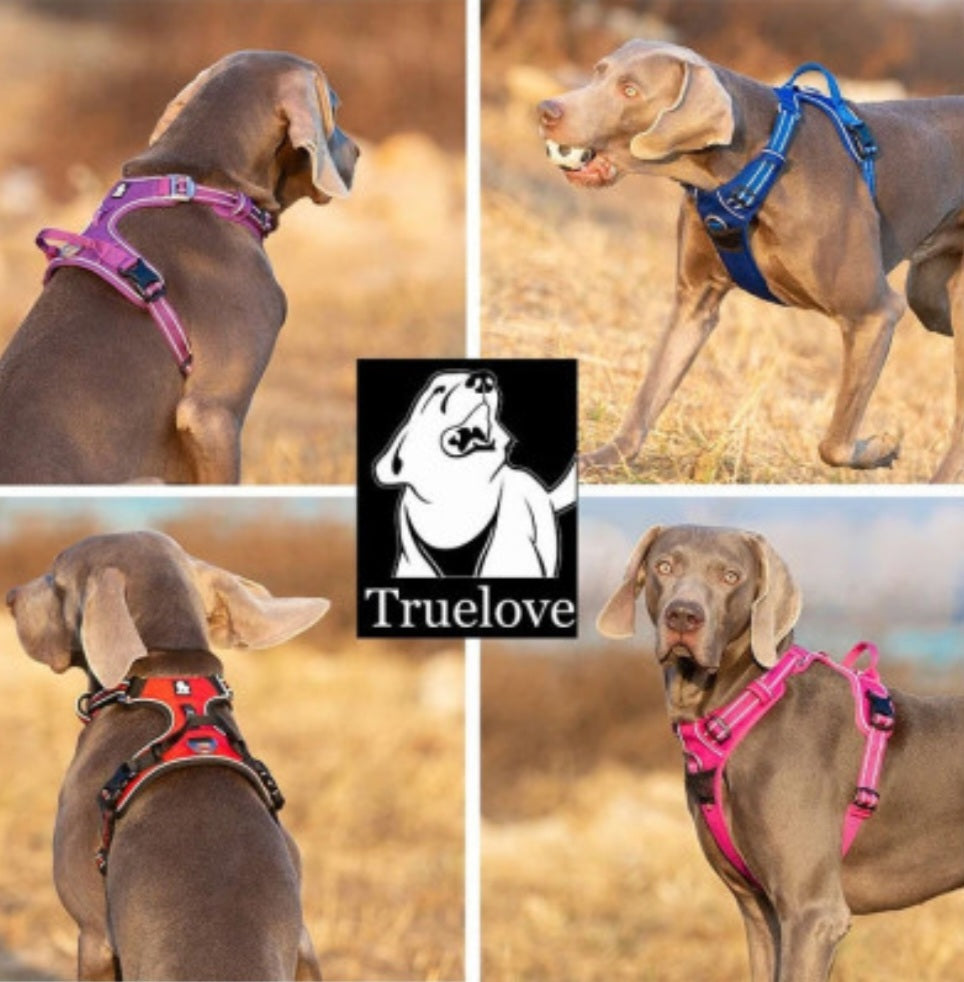 No Pull Harness Red L