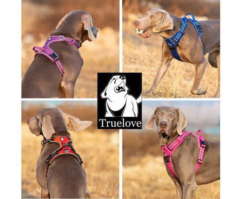 No Pull Harness Royal Blue M