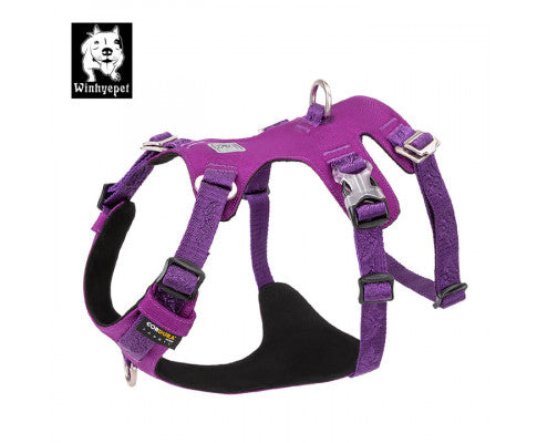 Whinhyepet Harness Purple XL