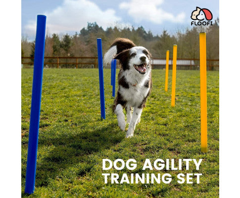Floofi Dog Agility Training Set FI-DGT-100-SL / FI-DGT-100-YX