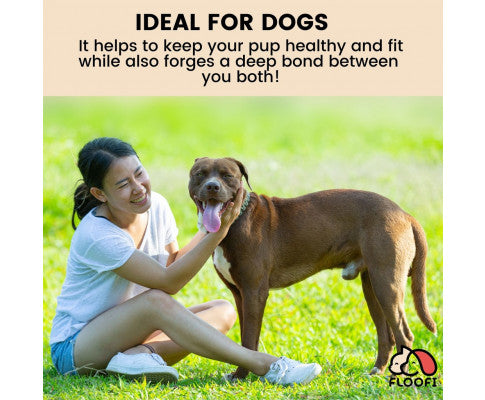 Floofi Dog Agility Training Set FI-DGT-100-SL / FI-DGT-100-YX