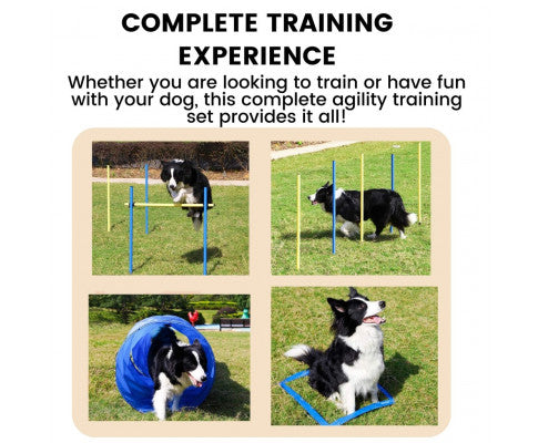 Floofi Dog Agility Training Set FI-DGT-100-SL / FI-DGT-100-YX