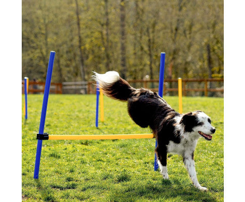 Floofi Dog Agility Training Set FI-DGT-100-SL / FI-DGT-100-YX