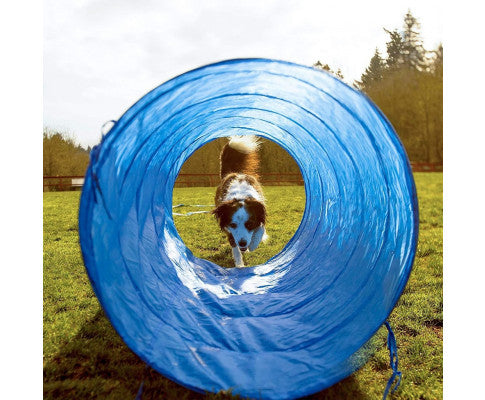 Floofi Dog Agility Training Set FI-DGT-100-SL / FI-DGT-100-YX