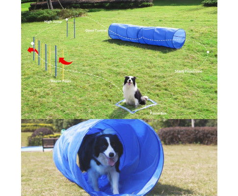 Floofi Dog Agility Training Set FI-DGT-100-SL / FI-DGT-100-YX