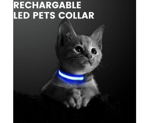 Floofi Solar USB Rechargable LED Dog Collar (L Blue) - PT-DC-143-QQQ