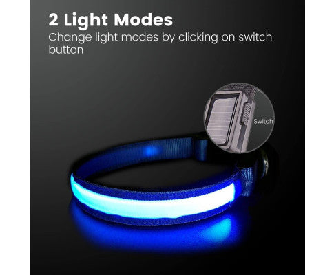 Floofi Solar USB Rechargable LED Dog Collar (L Blue) - PT-DC-143-QQQ