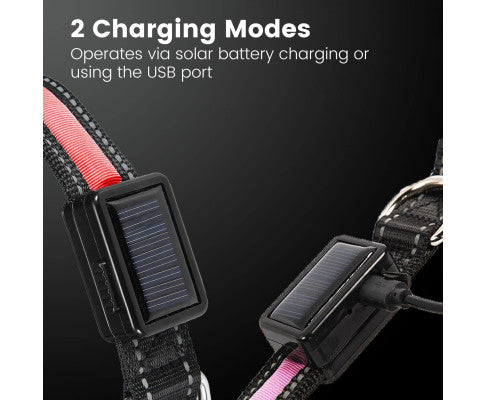 Floofi Solar USB Rechargable LED Dog Collar (L Blue) - PT-DC-143-QQQ