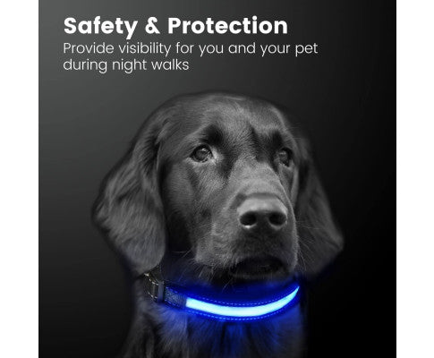 Floofi Solar USB Rechargable LED Dog Collar (L Blue) - PT-DC-143-QQQ