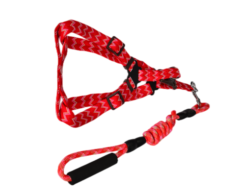 2 X Medium Pet Harness Collar leash lead