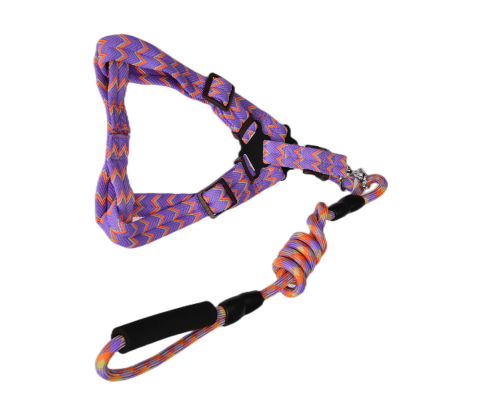 2 X Medium Pet Harness Collar leash lead