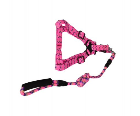 2 X Medium Pet Harness Collar leash lead