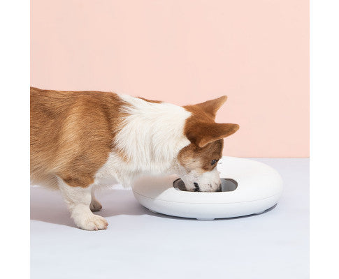 6 Meal Automatic Pet Dog Cat Food Feeder Dispenser with Programmable Timer White
