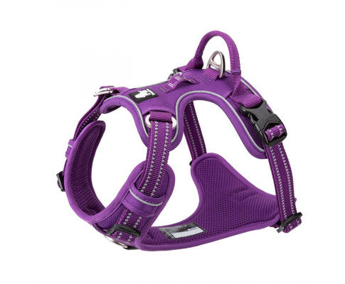 No Pull Harness Purple XL