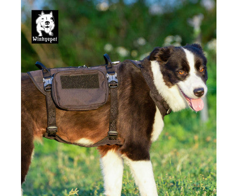 Whinhyepet Military Harness Black XL