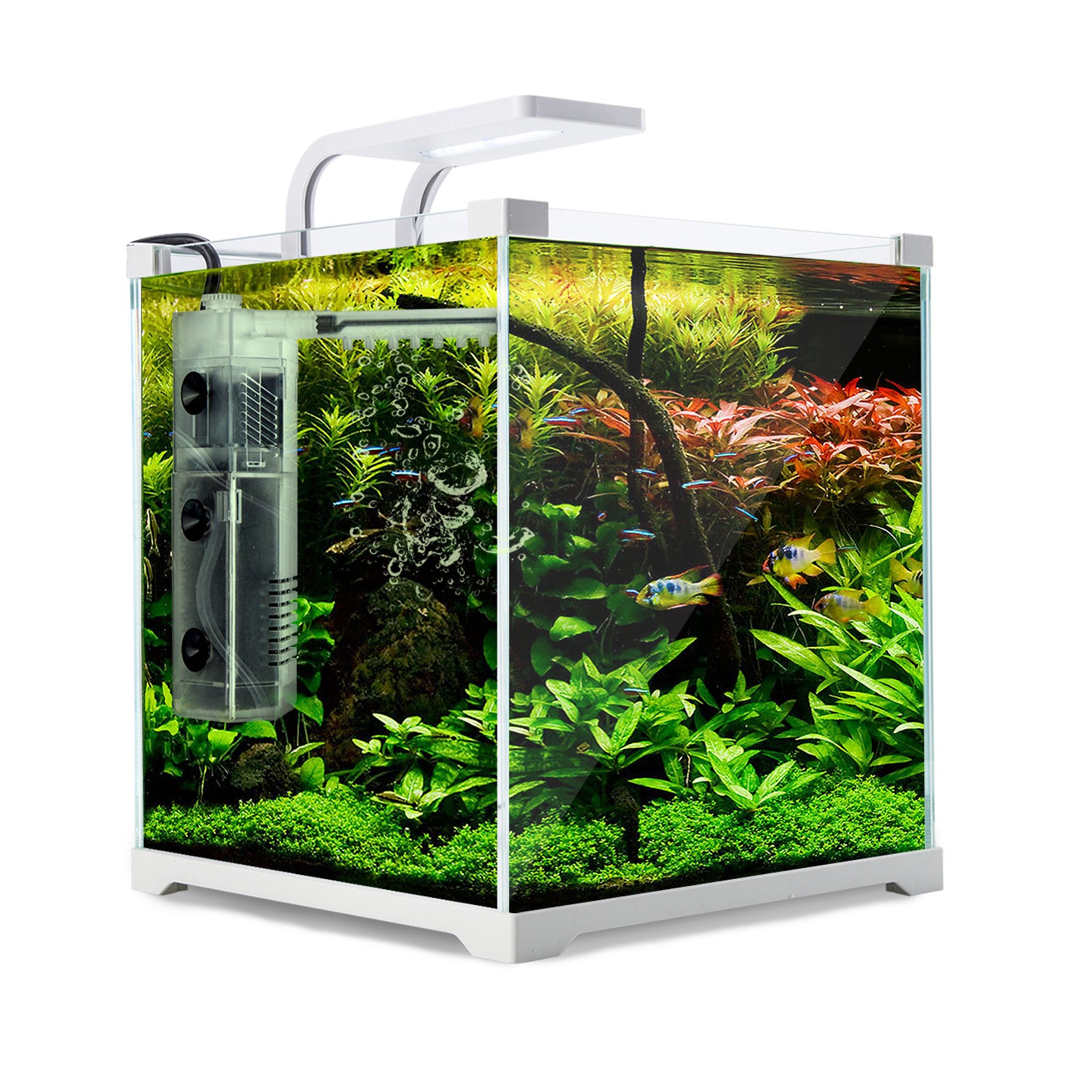 Dynamic Power Aquarium Fish Tank 16L Starfire Glass – trendypets.com.au