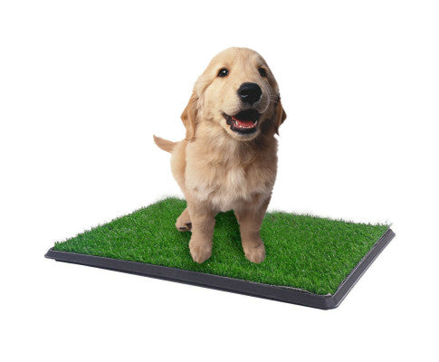 XL Indoor Dog Puppy Toilet Grass Training Mat Loo Pad Potty W 2 Grass